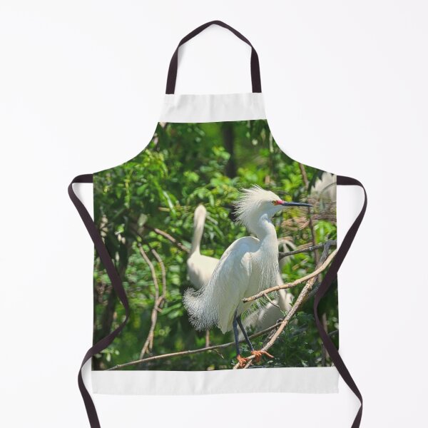 Item preview, Juvenile Great Egret  designed and sold by LisaWootenPhoto.