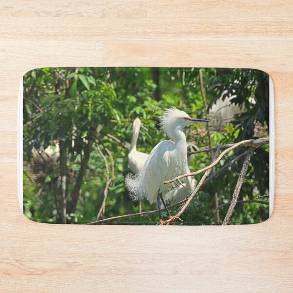 Item preview, Juvenile Great Egret  designed and sold by LisaWootenPhoto.