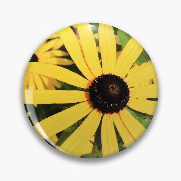 Item preview, Black Eyed Susan - RMSartZ Photography  designed and sold by RMSartZ.