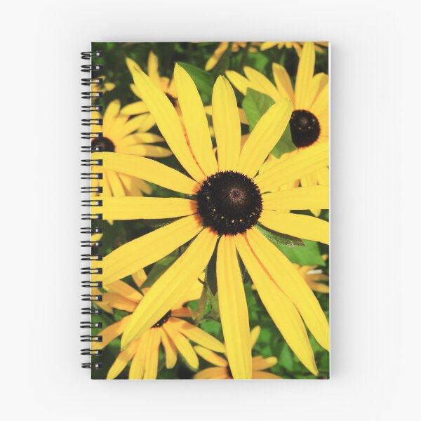 Item preview, Black Eyed Susan - RMSartZ Photography  designed and sold by RMSartZ.