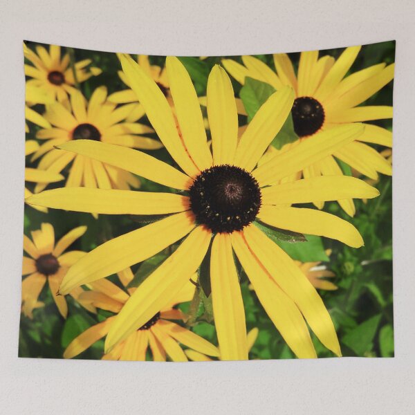 Item preview, Black Eyed Susan - RMSartZ Photography  designed and sold by RMSartZ.