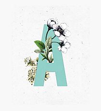 Botanical Alphabet - Letter 'A' Photographic Print