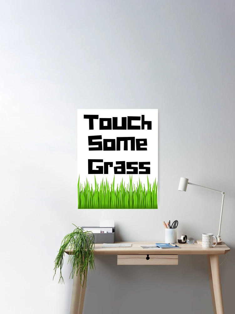 PLEASE TOUCH GRASS (2015), Touch Grass