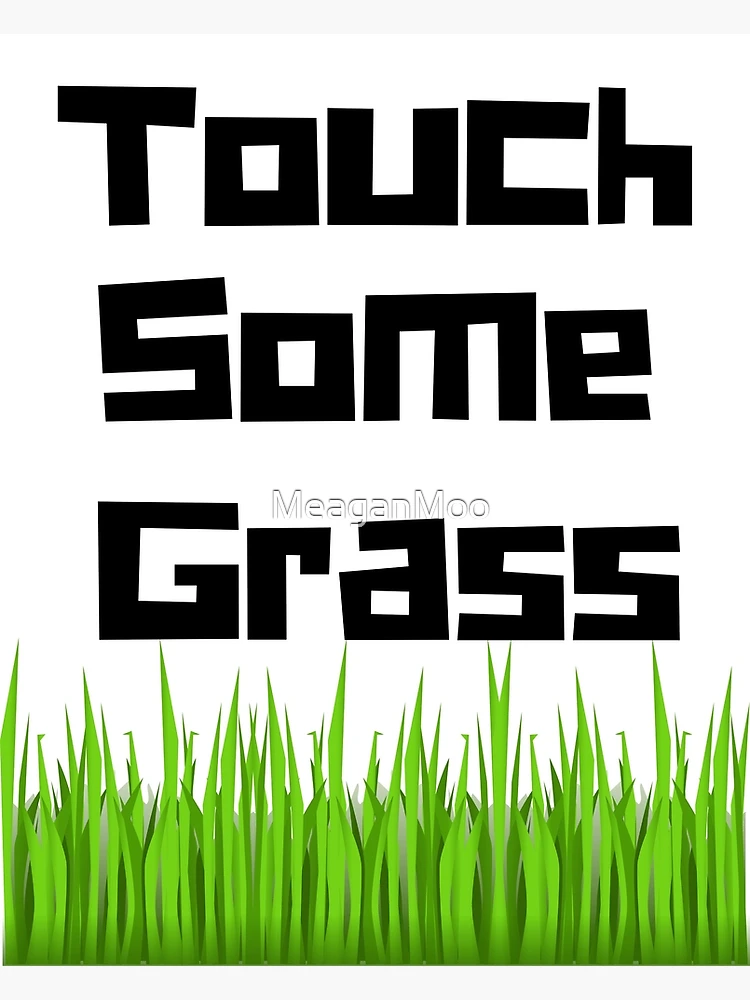 Go touch some grass : r/pcmasterrace