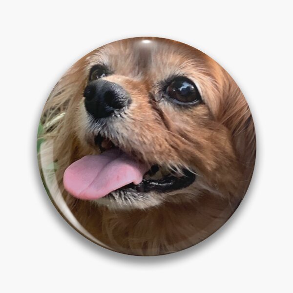 Item preview, Senior Ruby Cavalier Smile designed and sold by grygiel5.