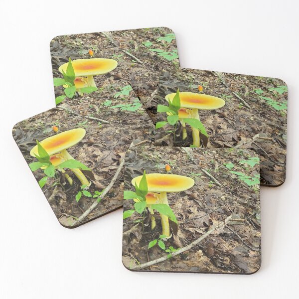 Item preview, Wild Mushrooms designed and sold by Jmerchant82.