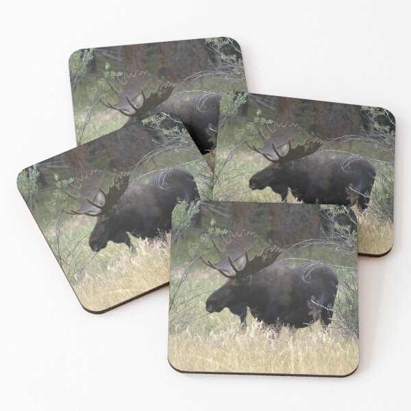 Item preview, Bull Moose designed and sold by Jmerchant82.