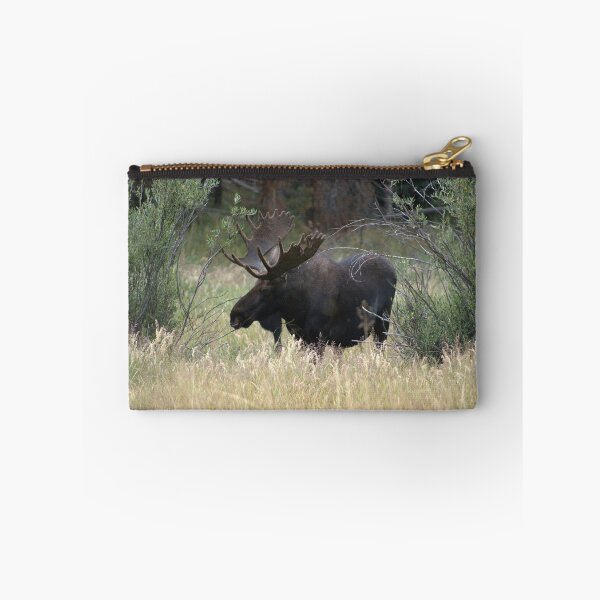 Item preview, Bull Moose designed and sold by Jmerchant82.