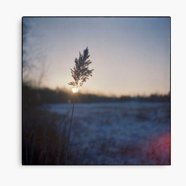 Item preview, sunset designed and sold by 5letters.
