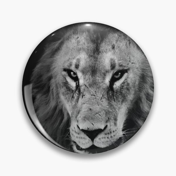 Item preview, Lion Photo - Carol M. Highsmith's America designed and sold by ElishaKayne.