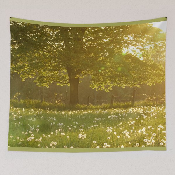 Item preview, Fairytale Tree in a Famers Field At Sunset designed and sold by Natural-Habitat.