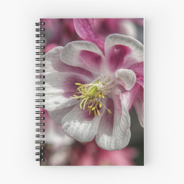 Item preview, Summer meadow pink/white Aquilegia flower designed and sold by hoxtonboy.
