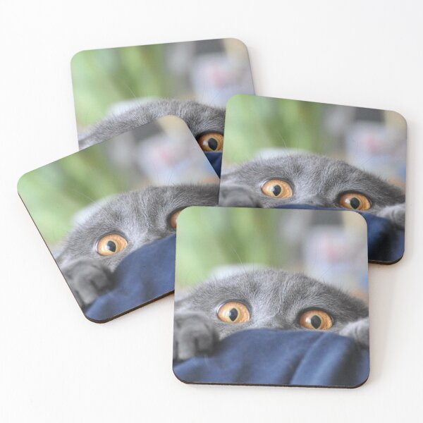 Item preview, funny cat, kitten, kitty, kit designed and sold by marksandford78.