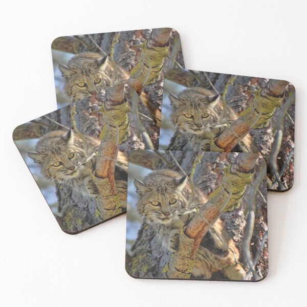 Item preview, Bobcat designed and sold by Stephanie Laird.