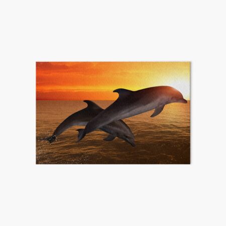 Item preview, Panoramic,widescreen prints,  Tapestries,Tapestry,throw blankets,dolphin wall art,dolphin art, ocean, sea, blue, fish, dolphin metal wall art, nature, water, wave, waves designed and sold by eyesight4vision.