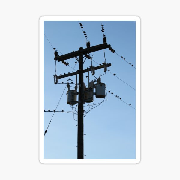 "Power Pole" Sticker for Sale by hlehnerer Redbubble