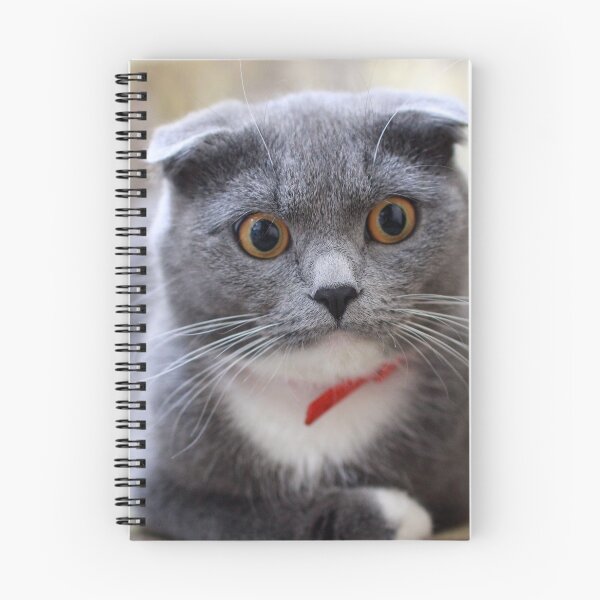 Item preview, catty designed and sold by brigitteauthor.