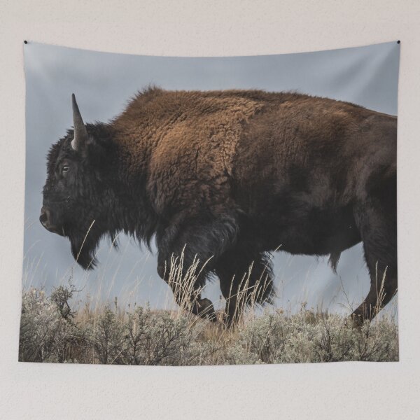 Item preview, Panoramic,widescreen prints, Tapestries,Tapestry,throw blankets,bison,animal, animals,bison wall art,,bison artwork designed and sold by eyesight4vision.