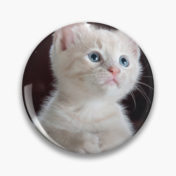 Artikelvorschau, Süße Katze entworfen und verkauft von SkillDesigner.