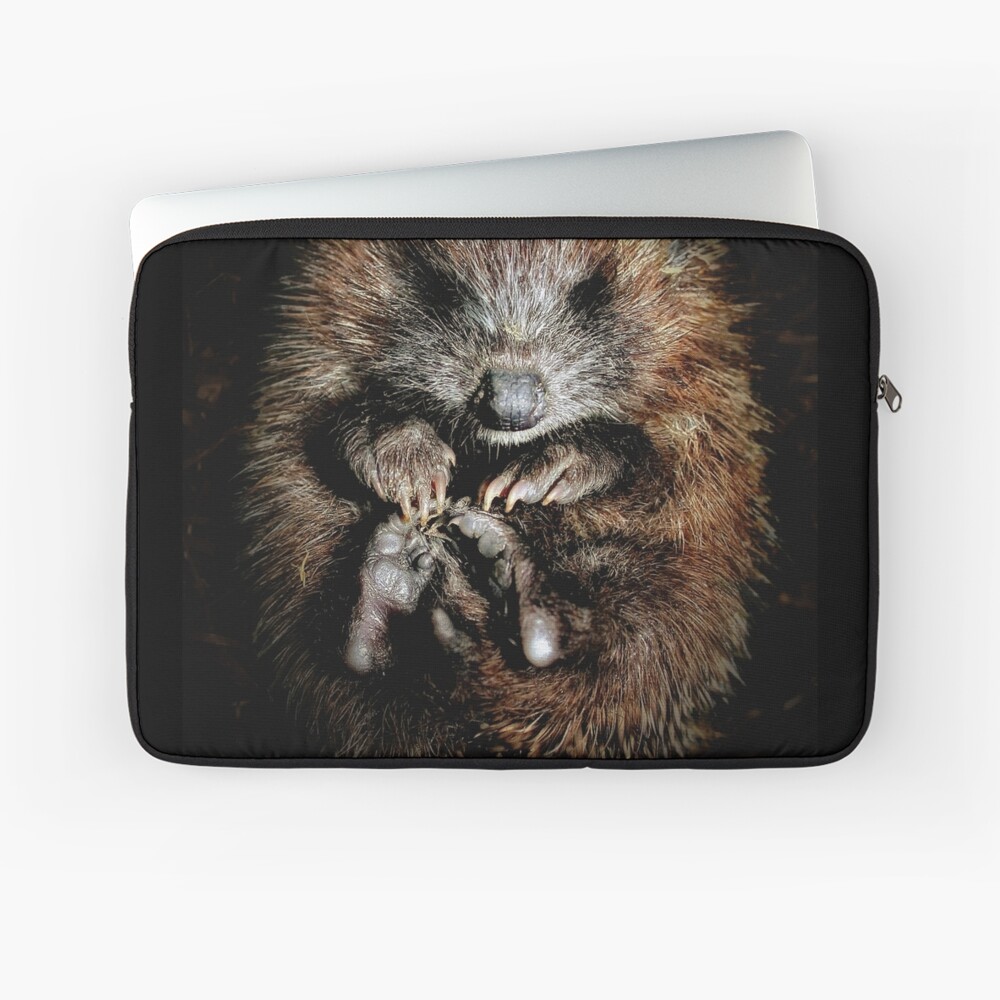 Item preview, Laptop Sleeve designed and sold by Coigach.