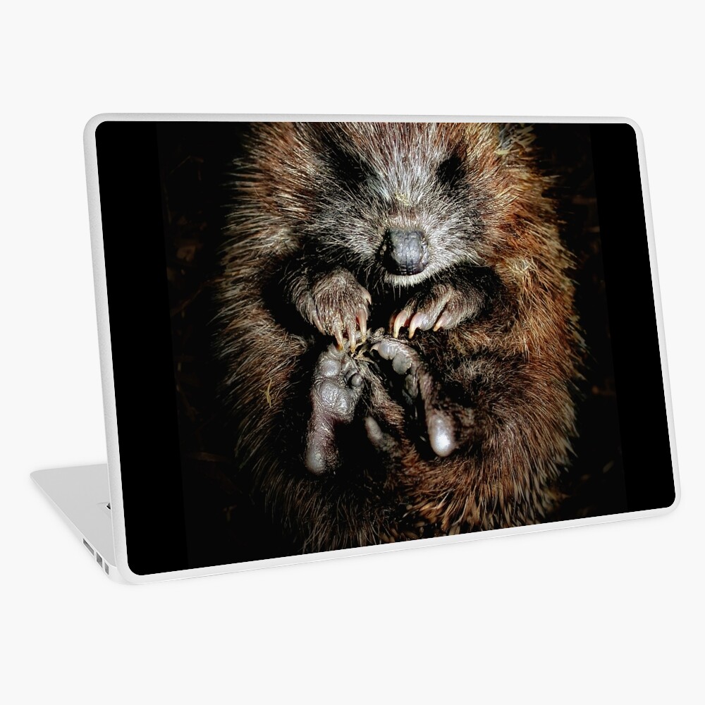 Item preview, Laptop Skin designed and sold by Coigach.