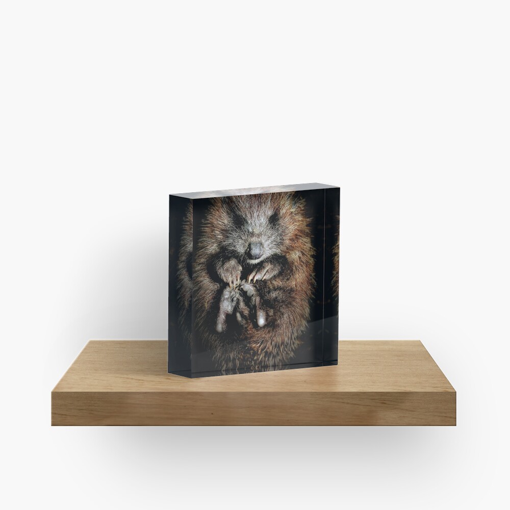 Item preview, Acrylic Block designed and sold by Coigach.