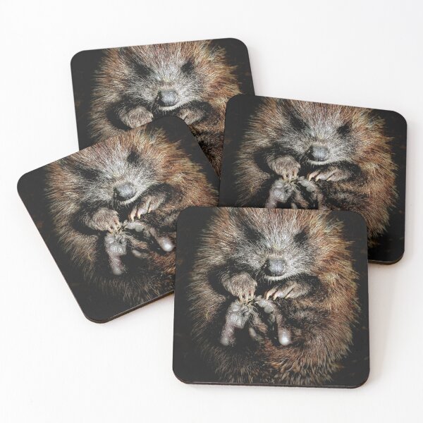 Item preview, Hoglet designed and sold by Coigach.