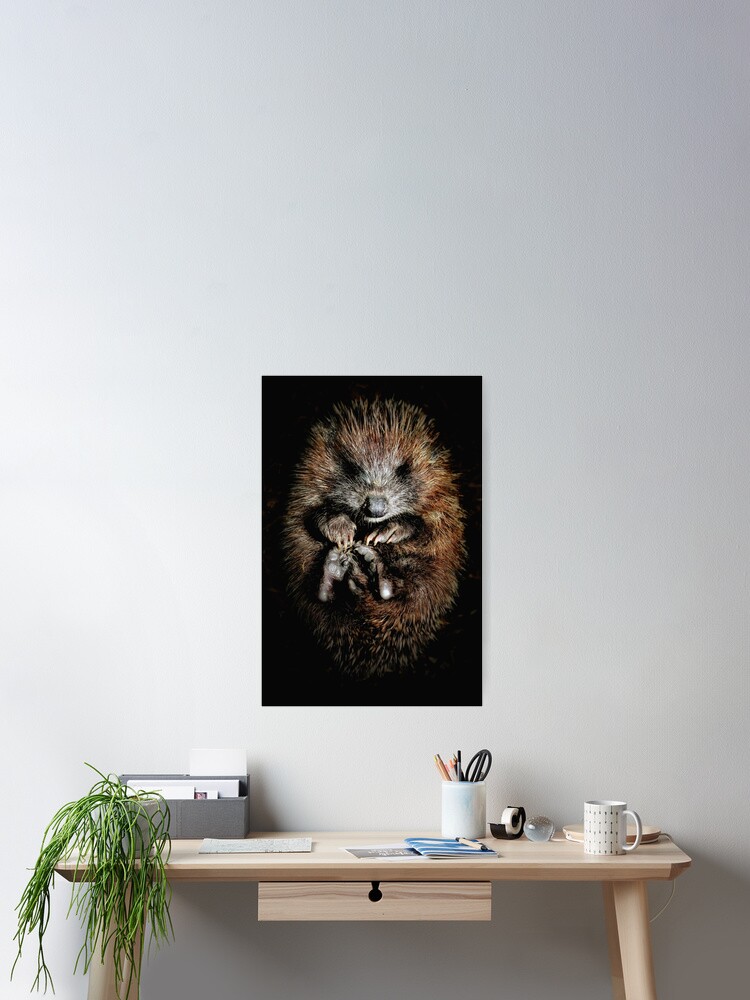 Thumbnail 2 of 3, Poster, Hoglet designed and sold by Coigach.