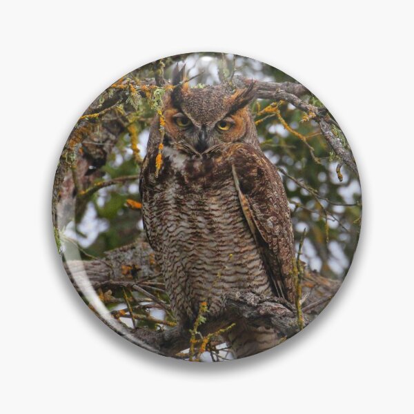 Item preview, Owl in Oak Tree designed and sold by Stephanie Laird.