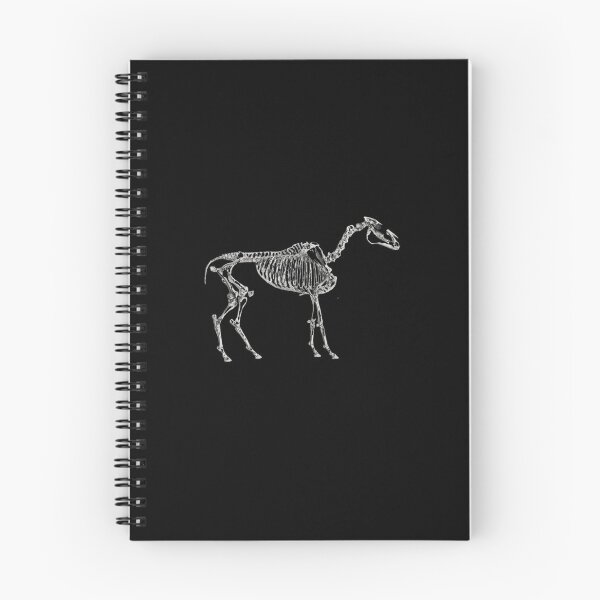 Artikelvorschau, Cheval-Skelett entworfen und verkauft von FurioInc.