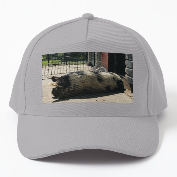 Big Piggy Chillin Baseball Cap
