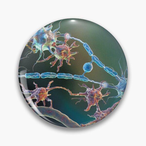 Item preview, Glia and Neurons with the Spinal Cord designed and sold by ScienceSource.