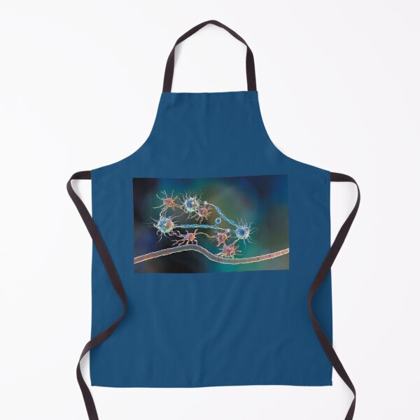 Item preview, Glia and Neurons with the Spinal Cord designed and sold by ScienceSource.