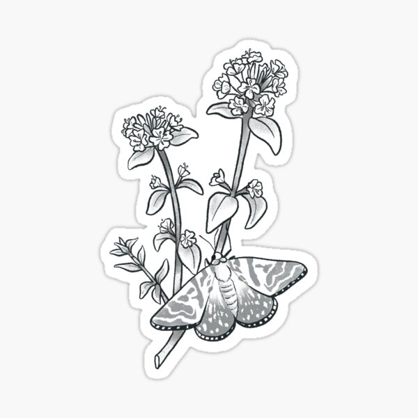 Artikel-Vorschau von Motte und Blumen, designt und verkauft von ChiwiDotArt.