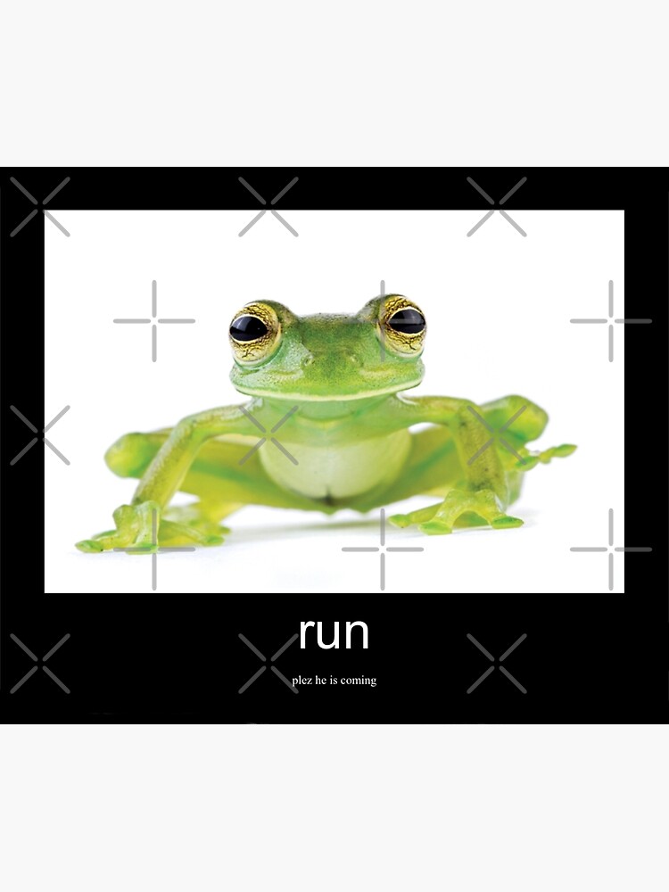 Frog Meme Run Poster By Blurryspirits Redbubble