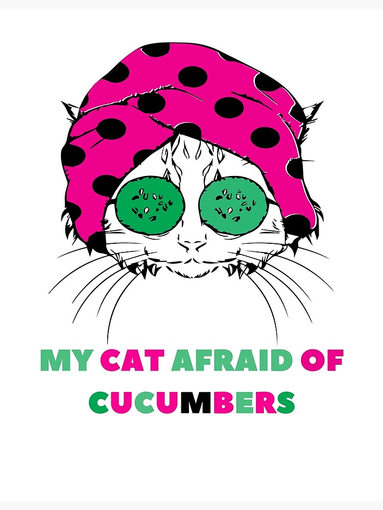 "Why My Cat Afraid Scared Of Cucumbers" Poster by catslover2022 Redbubble