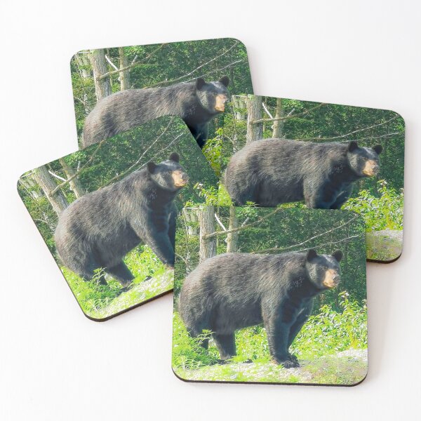 Item preview, Black Bear designed and sold by cdbeemer.