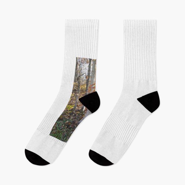 Item preview, Fall in the woods. designed and sold by memorguson.