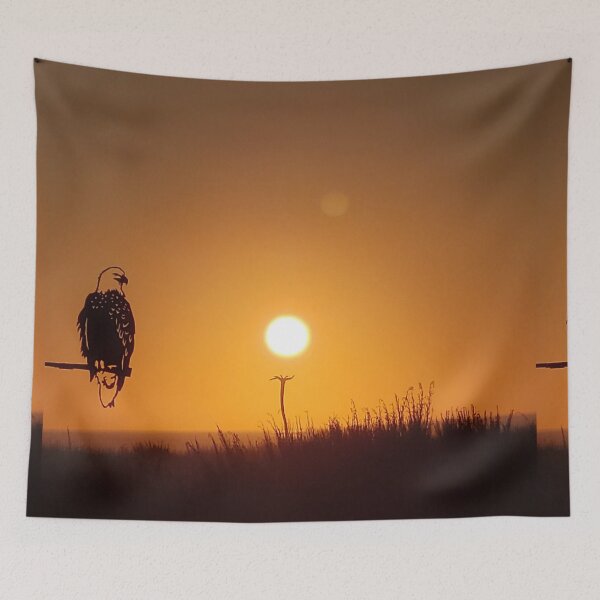 Item preview, The Eagles Sun designed and sold by Djjin66.