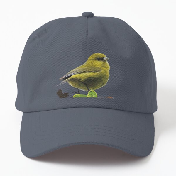 ʻAkekeʻe, Kauaʻi Honeycreeper Dad Hat