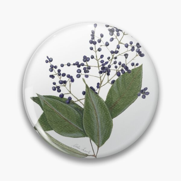 Item preview, Illustration Wild berries - Ligustrum lucidum in watercolor designed and sold by Malu-Iriarte.