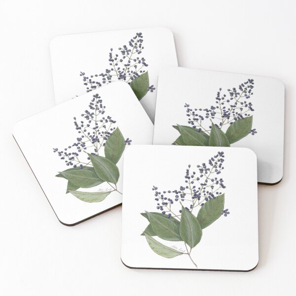 Item preview, Illustration Wild berries - Ligustrum lucidum in watercolor designed and sold by Malu-Iriarte.
