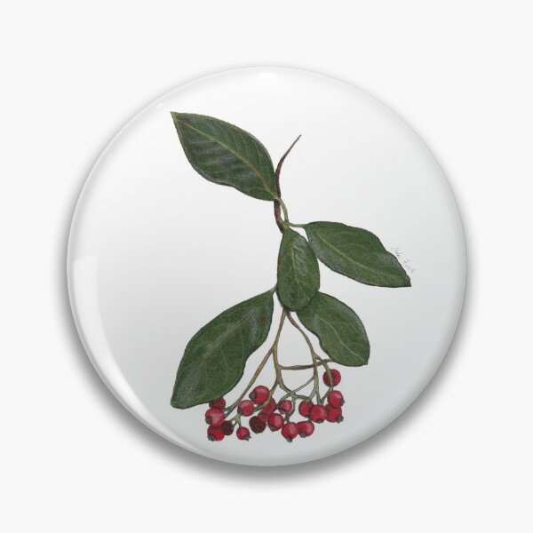 Artikelvorschau, Aquarellillustration von wilden Beeren - Pyracantha Crenulata entworfen und verkauft von Malu-Iriarte.