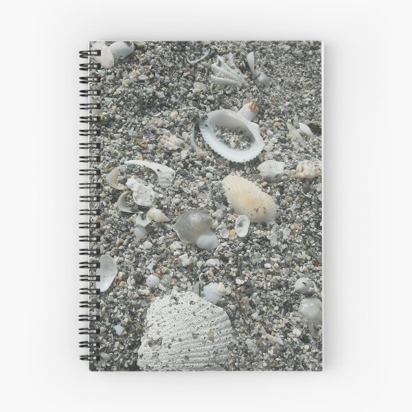 Item preview, Shells galore! designed and sold by memorguson.