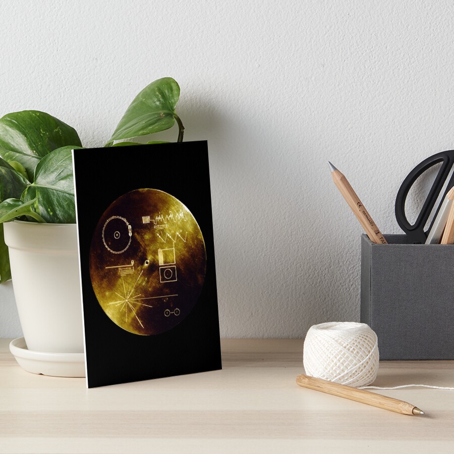 Voyager Space Probe Golden Record Plaque Art Board Print By