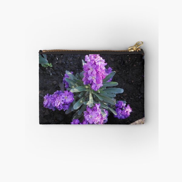 Item preview, Sunlit Scented Stocks designed and sold by EasterDaffodil.