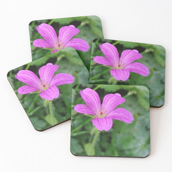 Item preview, Single Pink Flower designed and sold by Natural-Habitat.