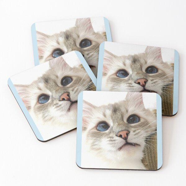 Item preview, Saoirse the lynx ragdoll cat designed and sold by Fluffycat2020.