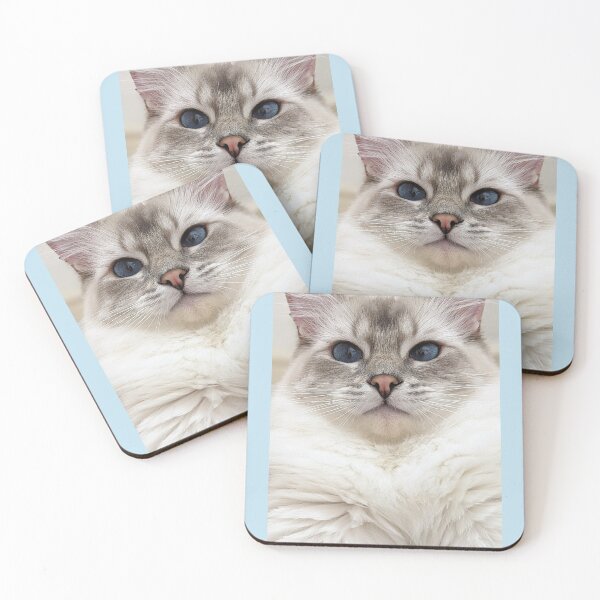 Item preview, Saoirse the lynx ragdoll cat designed and sold by Fluffycat2020.