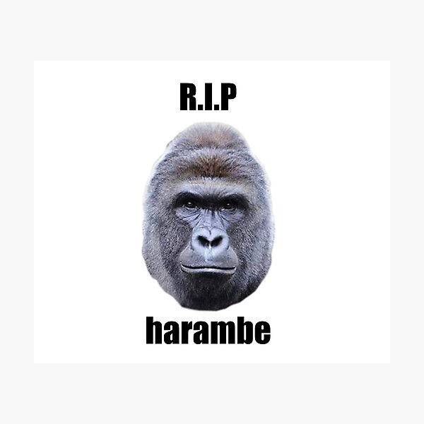 Formula 1 remembering harambe by having this as the trophy for the